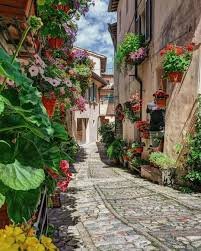 Весняні прогулянкові аромати