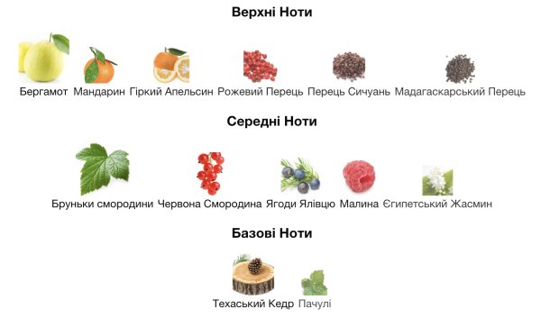 Парфумерна подорож до Ітаки - натхнення та поезія