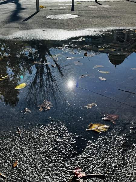 Аромати як відчуття моменту