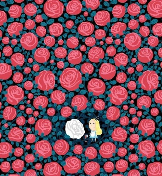 Аліса в країні фланкерів