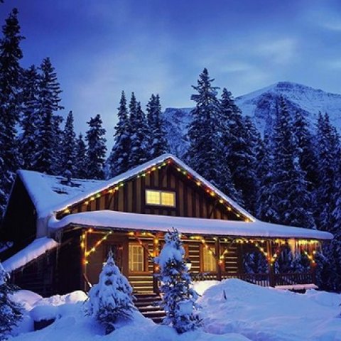 Реальна історія під кодовою назвою «Феромон» article-image