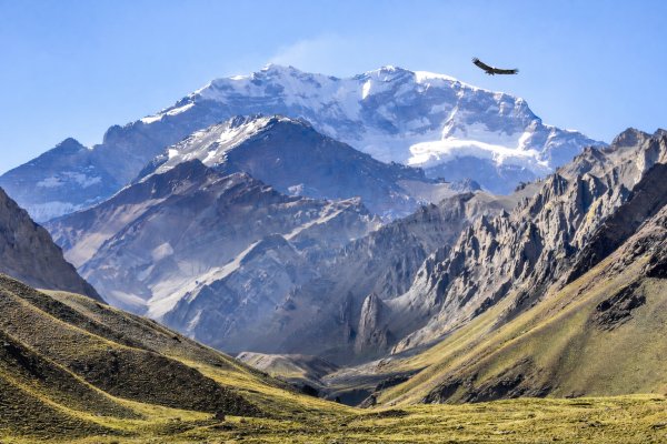 Ароматний сторітелінг