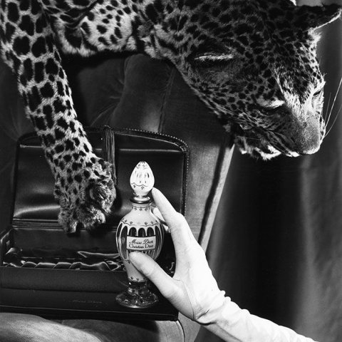 Міс Діор: від людини до парфуму article-image