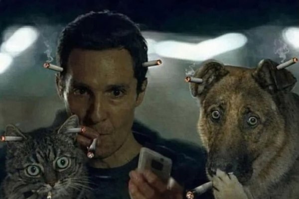 Міс Діор: від людини до парфуму