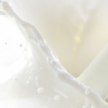 Аромат молока в парфюмерии article-image