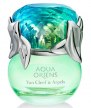 Aqua Oriens - мужчины, берегитесь! article-image