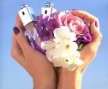 Новая коллекция Dior Addict: свежесть, чувственность, обещание