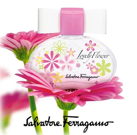 Incanto Lovely Flower