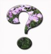 Как выбирать духи?