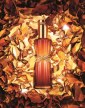 Youth-Dew Limited Edition 2013 - обновленное издание самого чувственного из всех ароматов Estee Lauder article-image