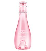 Cool Water Sea Rose 