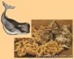 Амбра – уникальный закрепитель ароматов article-image
