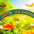МИНУС 20% НА ВСЕ РАСПИВЫ logo stock