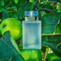 Знижка 10% на LIGHT BLUE INTENSE  !